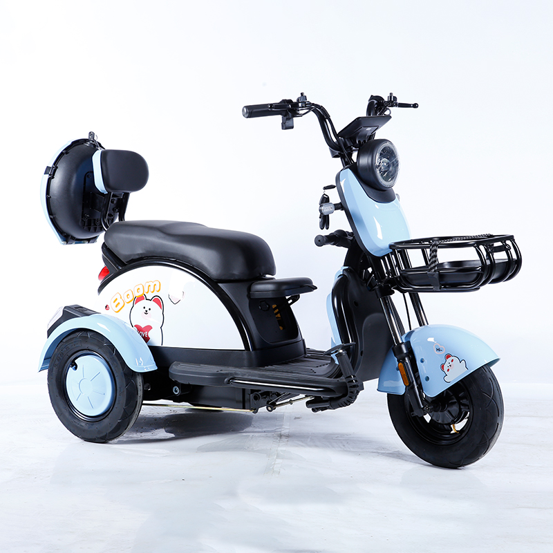 Electric Tricycles 600W Three Wheel Cruiser Bike Low Step-Through Electric Bicycles Rickshaw for Old People
